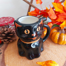 Mug Chat Noir