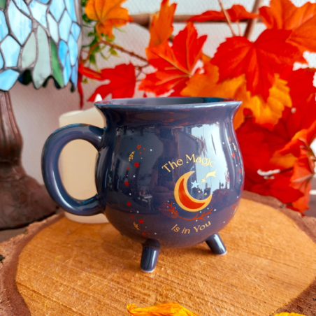 Mug Chaudron