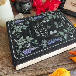 Boite de Rangement Livre