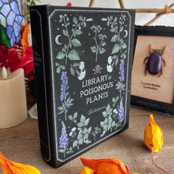 Boite de Rangement Livre