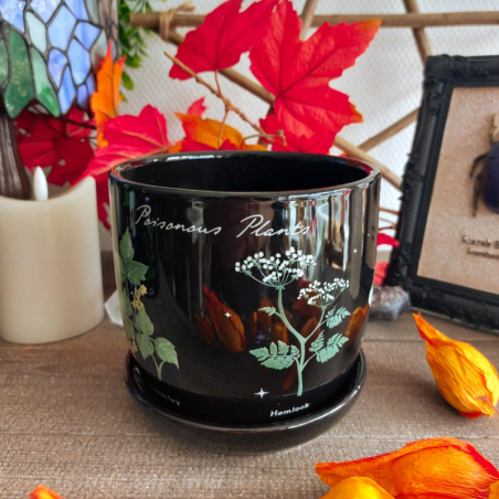 Pot de Fleurs