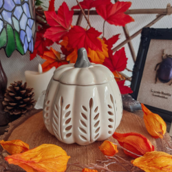 Brûle Parfums Citrouille Blanche