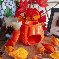 Brûle Parfums Citrouille Orange