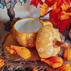 Mug Citrouille Défaut