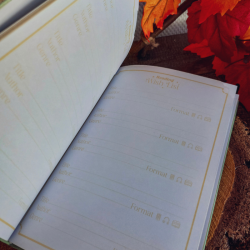 Journal de Lecture