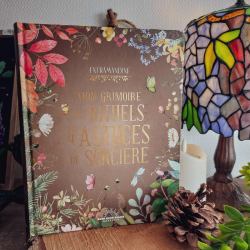Mon Grimoire de rituels et astuces de sorcières