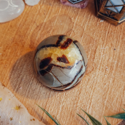 Sphère Septaria + Socle