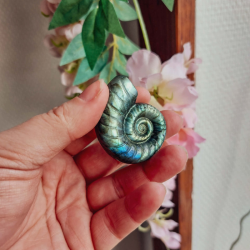 Escargot Labradorite AA+