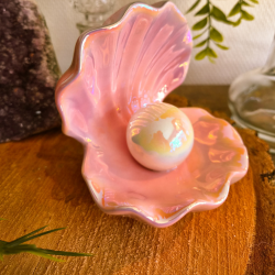 Vide poche "Trésor de Sirène"