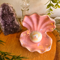 Vide poche "Trésor de Sirène"