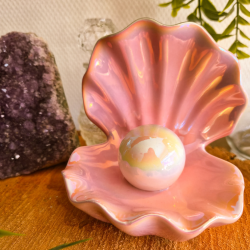 Vide poche "Trésor de Sirène"