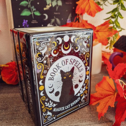 Brûleur Livre des Sortilèges & Chat Noir
