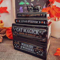 Brûleur Pile de Grimoires & Chat Noir – Bibliothèque Enchantée