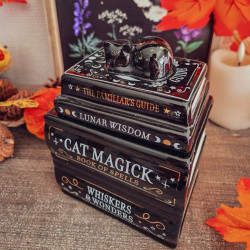 Brûleur Pile de Grimoires & Chat Noir – Bibliothèque Enchantée