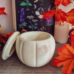 Brûleur « Citrouille Élégante » – Blanc d'Automne