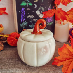 Brûleur « Citrouille Élégante » – Blanc d'Automne