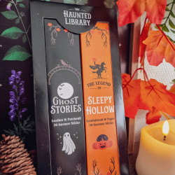 Lot de 2 Boîtes de Bâtonnets d'Encens « Haunted Library »