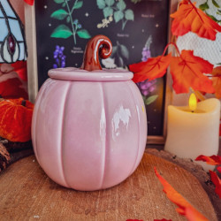 Brûleur à Fondants « Citrouille Rose »