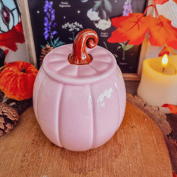 Brûleur à Fondants « Citrouille Rose »