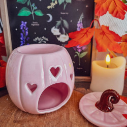 Brûleur à Fondants « Citrouille Rose »