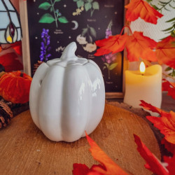 Brûleur à Fondants « Grande Citrouille Blanche »