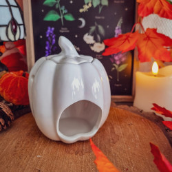 Brûleur à Fondants « Grande Citrouille Blanche »