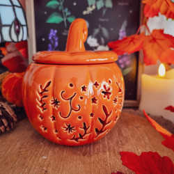 Brûleur à Fondants « Citrouille Folk Orange »