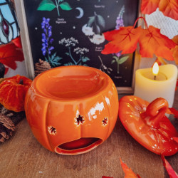 Brûleur à Fondants « Citrouille Folk Orange »