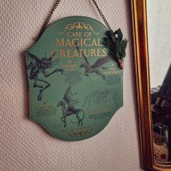Plaque Harry Potter – Créatures Magiques