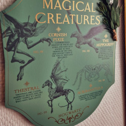Plaque Harry Potter – Créatures Magiques