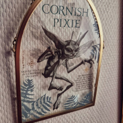 Plaque en Verre Harry Potter – Lutin de Cornouailles