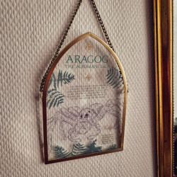 Plaque en Verre Harry Potter – Aragog