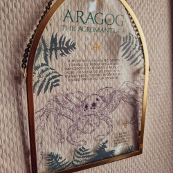 Plaque en Verre Harry Potter – Aragog