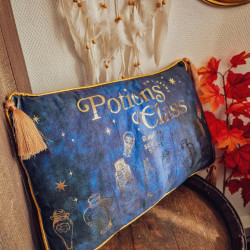 Coussin Harry Potter – Cours de Potions