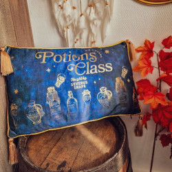 Coussin Harry Potter – Cours de Potions
