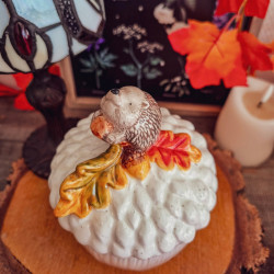 Bocal de rangement « Hérisson » – Country Living