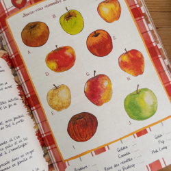 Cahier de jeux « Le temps d’un automne » – Caro From Woodland